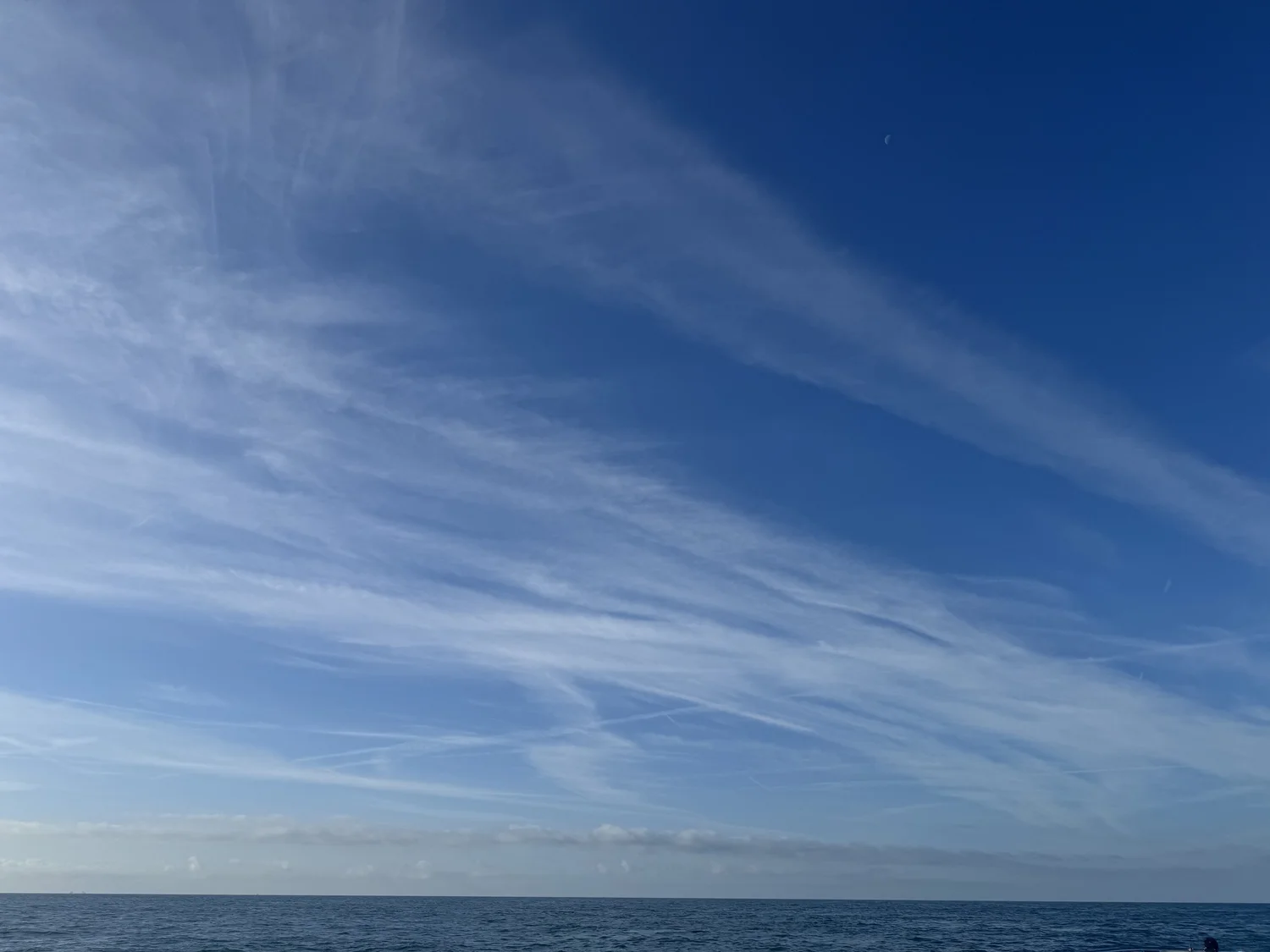 A day out on Fantasea Charter
